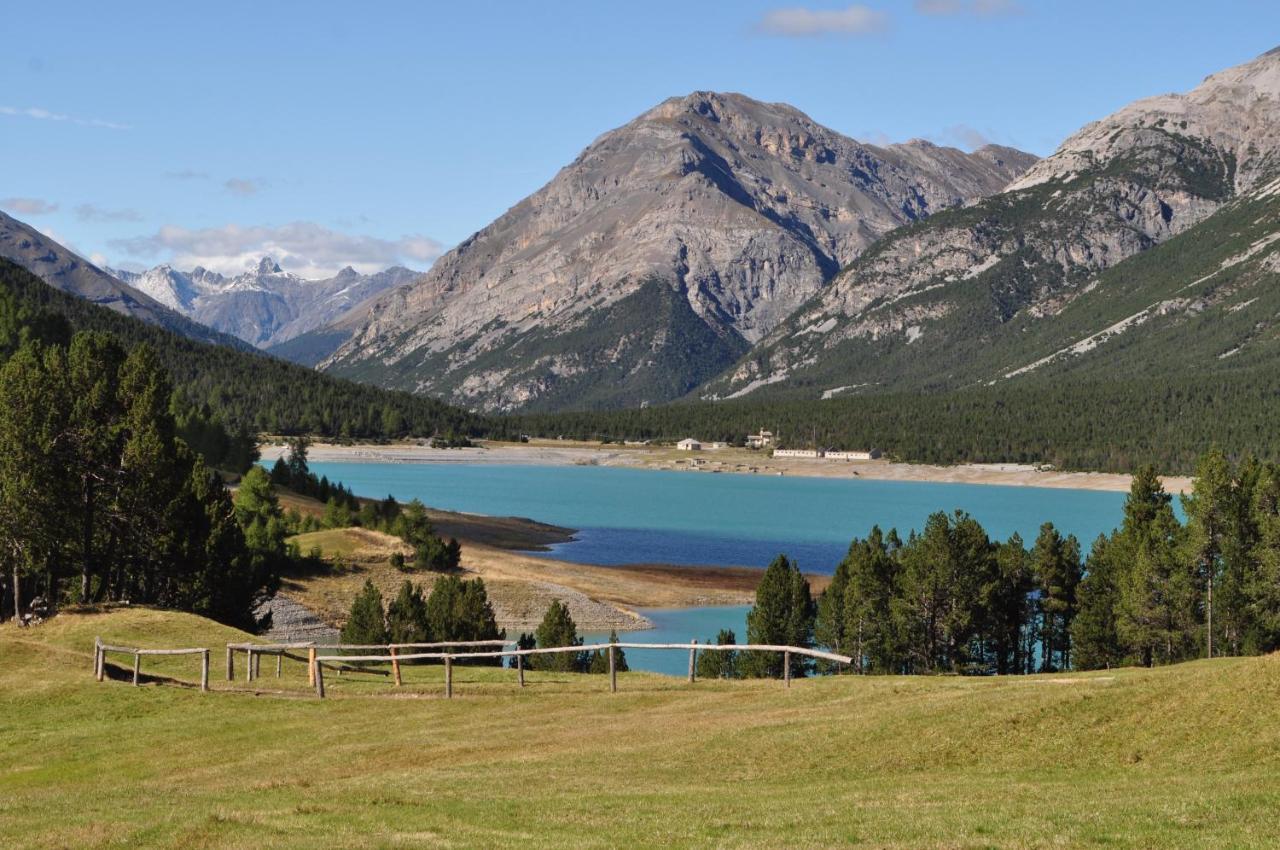 Chalet Bormio Stelvio Villa Valdidentro Eksteriør bilde